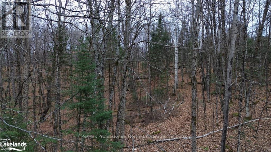 - Coumbs Road, Highlands East, Ontario  K0M 1S0 - Photo 3 - X11822795