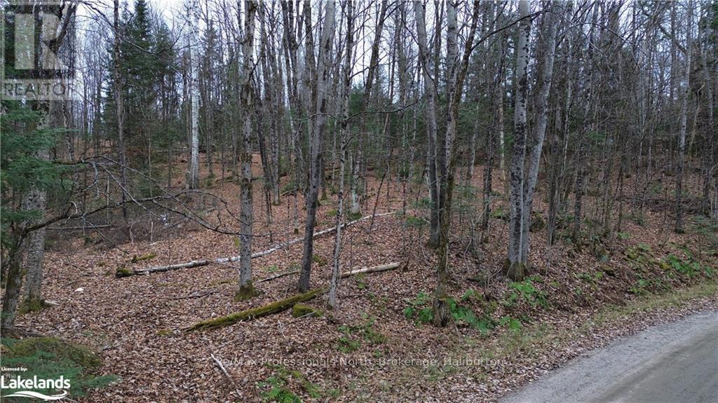 - Coumbs Road, Highlands East, Ontario  K0M 1S0 - Photo 4 - X11822795