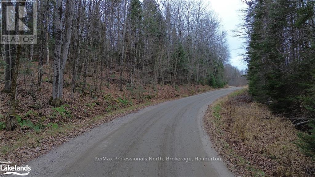 - Coumbs Road, Highlands East, Ontario  K0M 1S0 - Photo 5 - X11822795