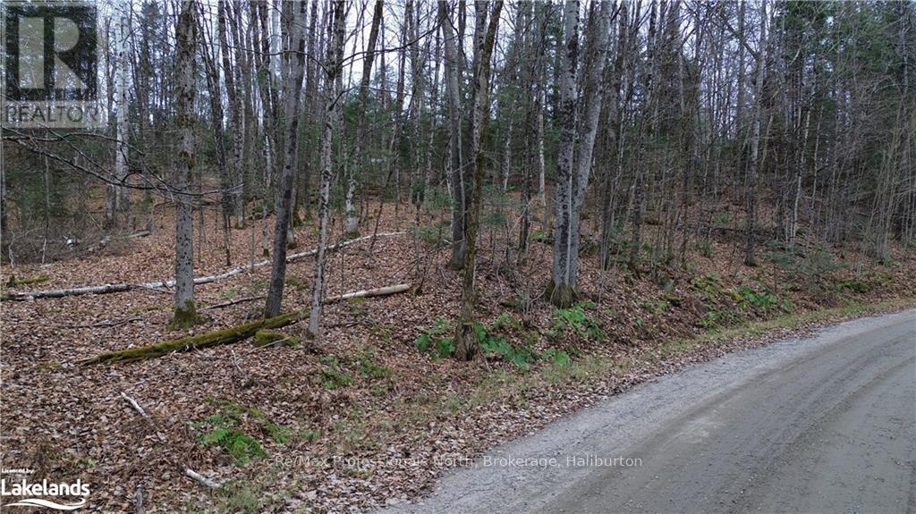 - Coumbs Road, Highlands East, Ontario  K0M 1S0 - Photo 6 - X11822795