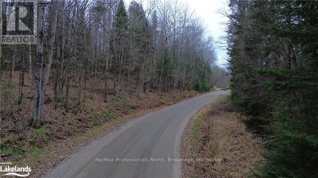 - Coumbs Road, Highlands East, Ontario  K0M 1S0 - Photo 7 - X11822795