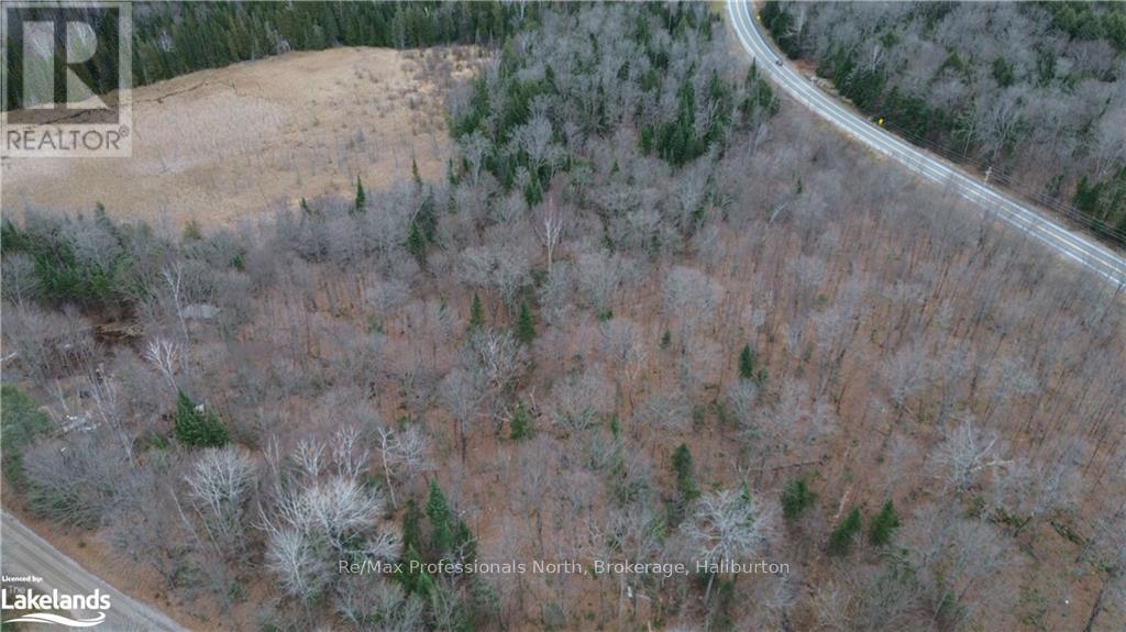 - Coumbs Road, Highlands East, Ontario  K0M 1S0 - Photo 9 - X11822795