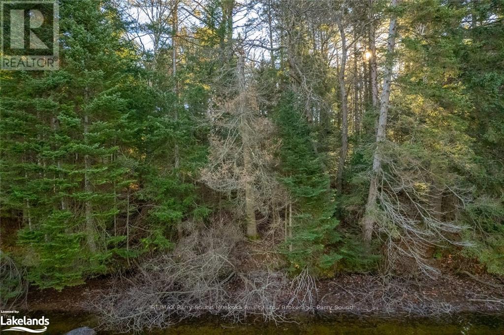 645 Balsam Chutes Road, Huntsville, Ontario  P0B 1L0 - Photo 11 - X11822904