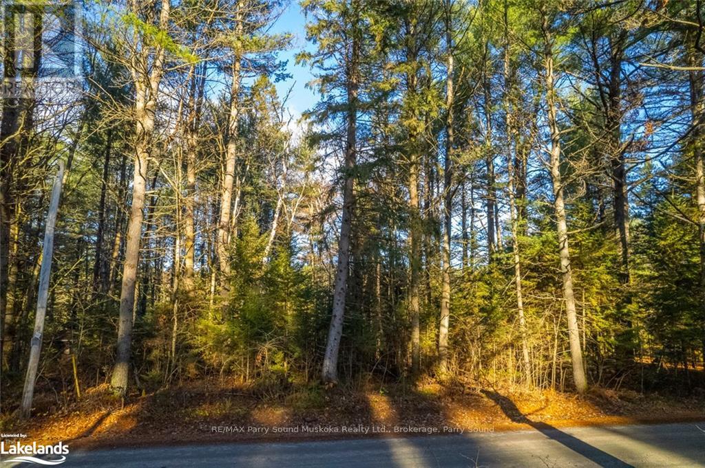 645 Balsam Chutes Road, Huntsville, Ontario  P0B 1L0 - Photo 6 - X11822904