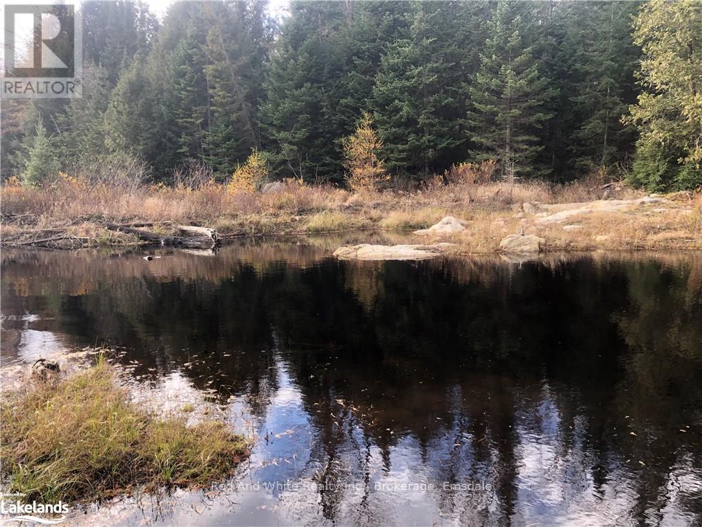 1898 Axe Lake Road, Mcmurrich/monteith, Ontario  P0A 1Y0 - Photo 18 - X11822756