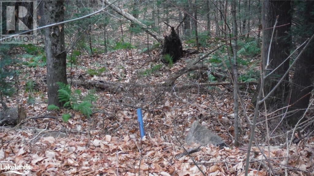 1898 Axe Lake Road, Mcmurrich/monteith, Ontario  P0A 1Y0 - Photo 19 - X11822756