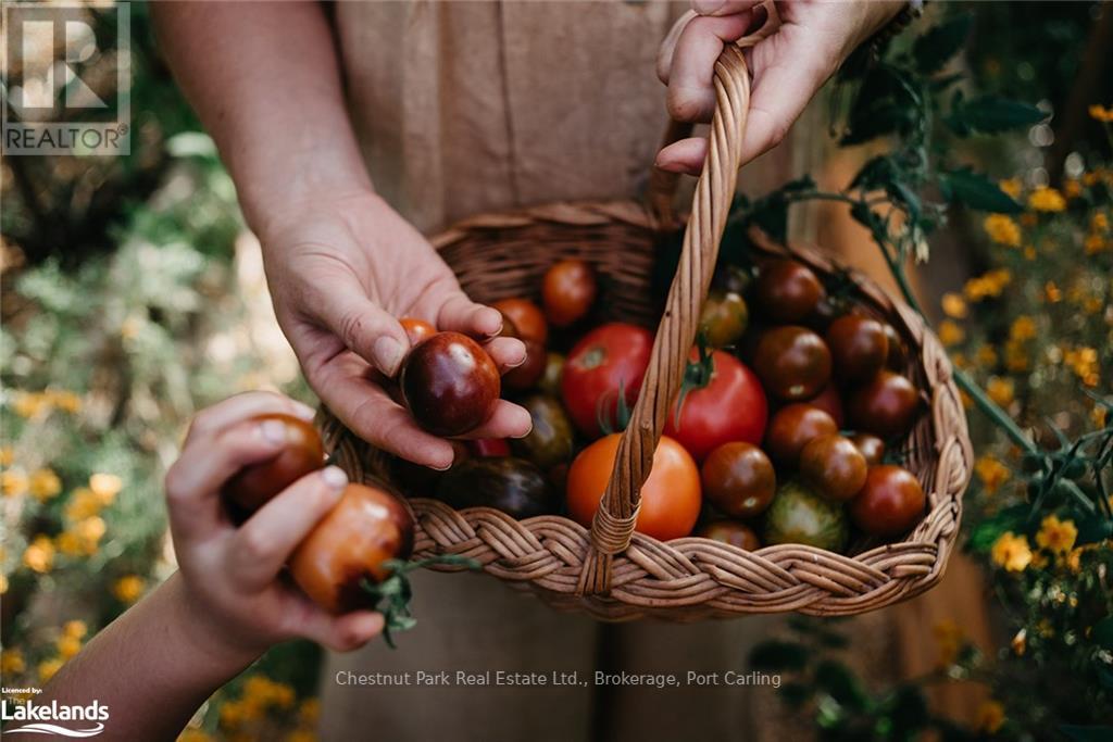 368 Highview Drive, Huntsville, Ontario  P1H 1C1 - Photo 33 - X11822758