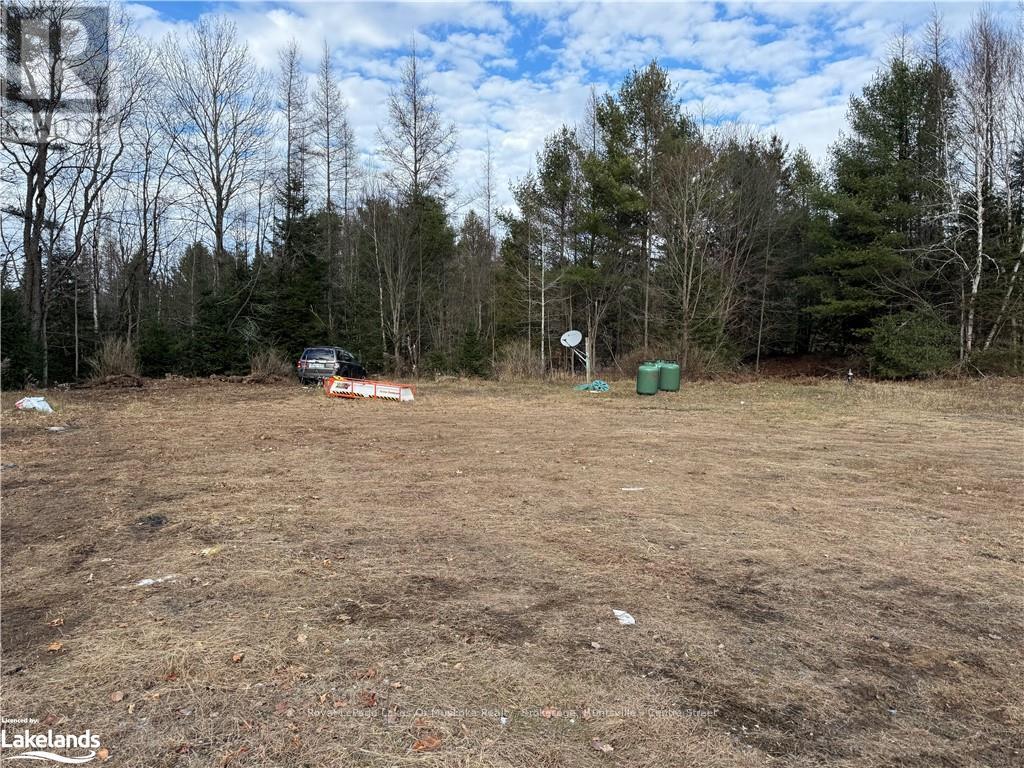 172 Mineral Springs Road, Huntsville, Ontario  P1H 2N5 - Photo 3 - X11822939