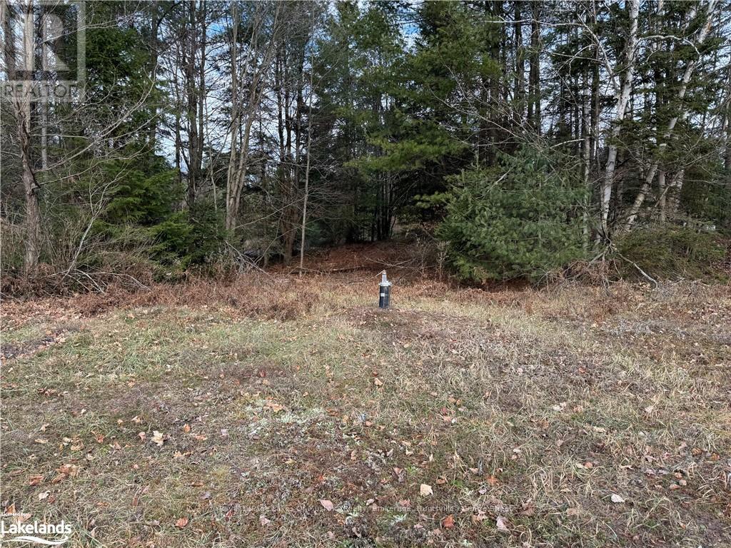 172 Mineral Springs Road, Huntsville, Ontario  P1H 2N5 - Photo 4 - X11822939