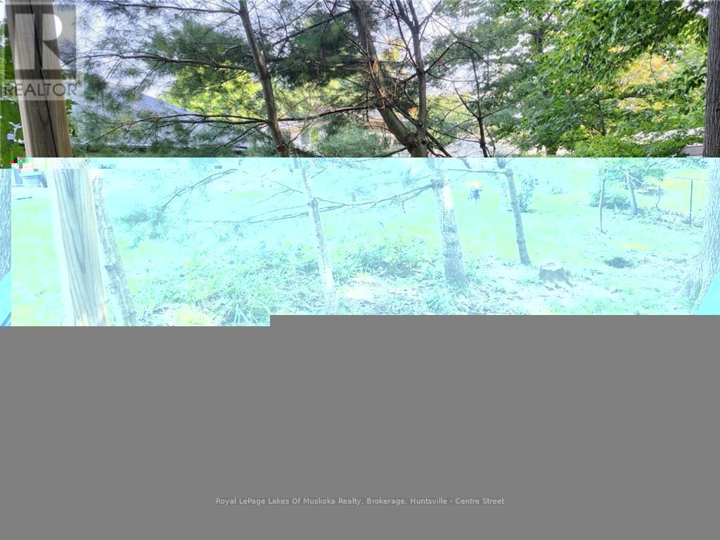 515 Lorne Street, Gravenhurst, Ontario  P1P 1N1 - Photo 40 - X11822979