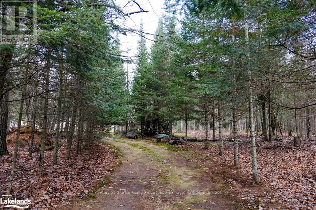 1538 Braeloch Road, Algonquin Highlands, Ontario  K0M 1S0 - Photo 2 - X11822998
