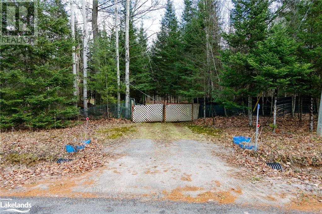 1538 Braeloch Road, Algonquin Highlands, Ontario  K0M 1S0 - Photo 24 - X11822998