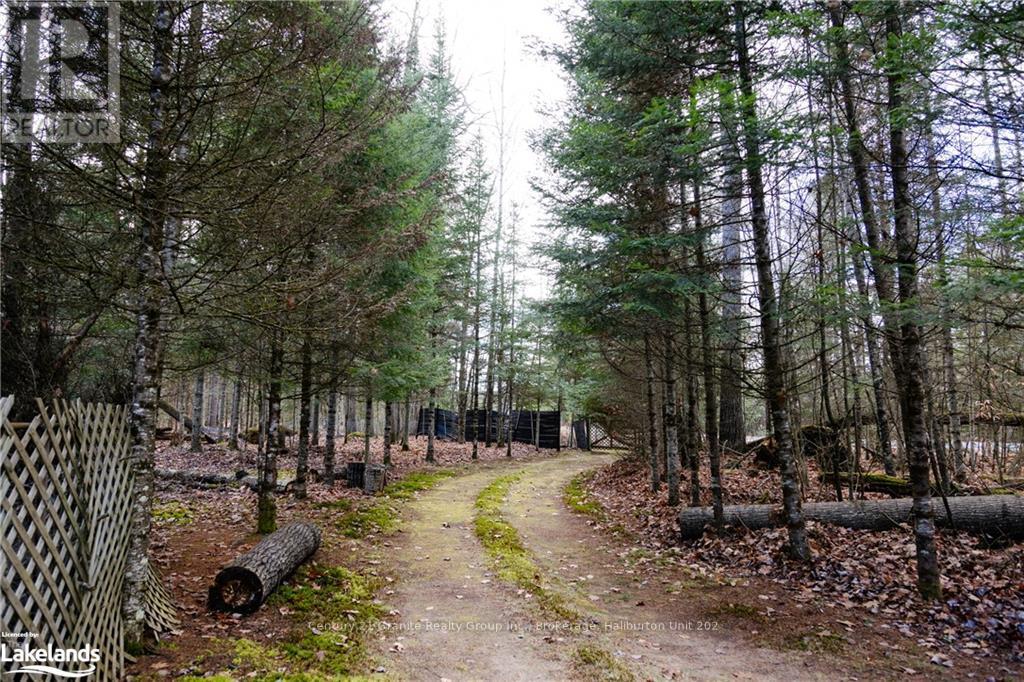 1538 Braeloch Road, Algonquin Highlands, Ontario  K0M 1S0 - Photo 27 - X11822998