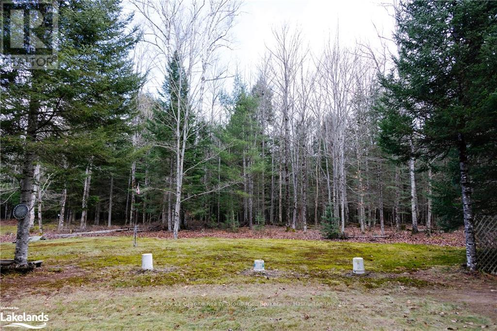 1538 Braeloch Road, Algonquin Highlands, Ontario  K0M 1S0 - Photo 28 - X11822998