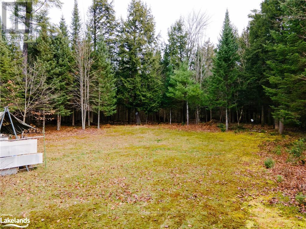 1538 Braeloch Road, Algonquin Highlands, Ontario  K0M 1S0 - Photo 6 - X11822998