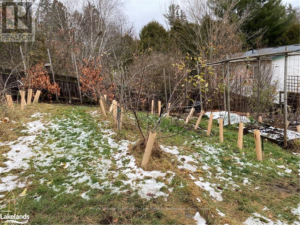 9 Prospect Street, Parry Sound, Ontario  P2A 2B5 - Photo 24 - X11823023