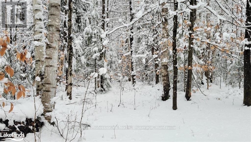 551 WHITE HOUSE ROAD, Huntsville, Ontario