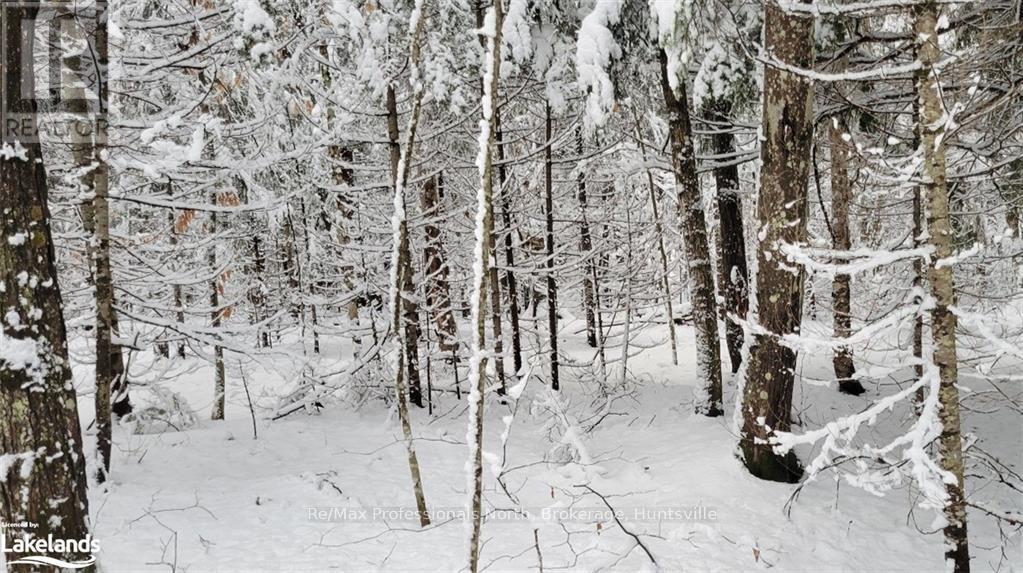 551 White House Road, Huntsville, Ontario  P1H 2J3 - Photo 3 - X11823061