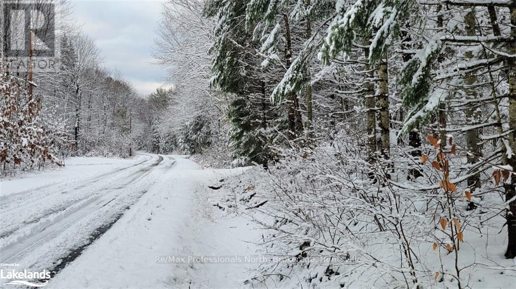 551 White House Road, Huntsville, Ontario  P1H 2J3 - Photo 5 - X11823061