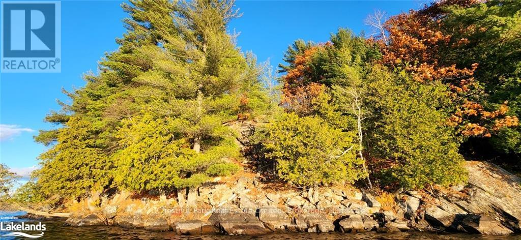 920 Big Island, Huntsville, Ontario  P1H 2J2 - Photo 14 - X11823164