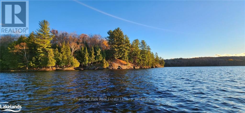 920 Big Island, Huntsville, Ontario  P1H 2J2 - Photo 16 - X11823164