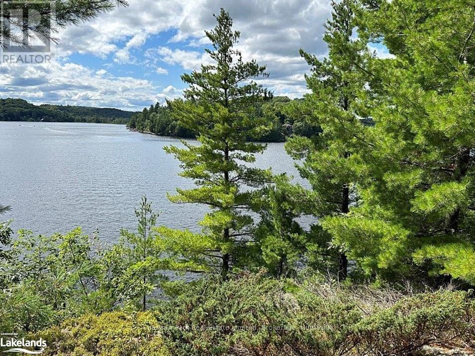 920 Big Island, Huntsville, Ontario  P1H 2J2 - Photo 18 - X11823164