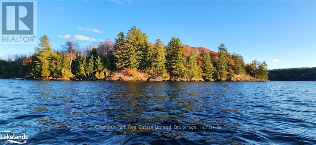 920 Big Island, Huntsville, Ontario  P1H 2J2 - Photo 2 - X11823164