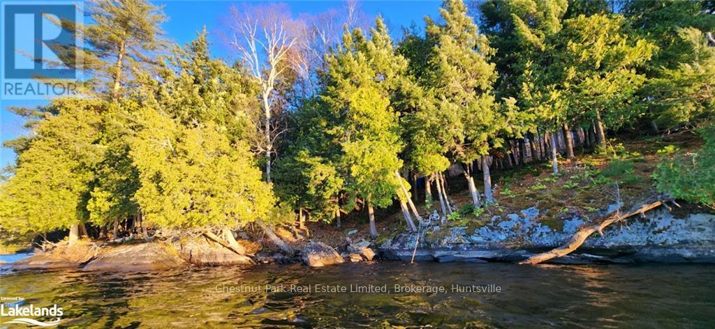 920 Big Island, Huntsville, Ontario  P1H 2J2 - Photo 20 - X11823164