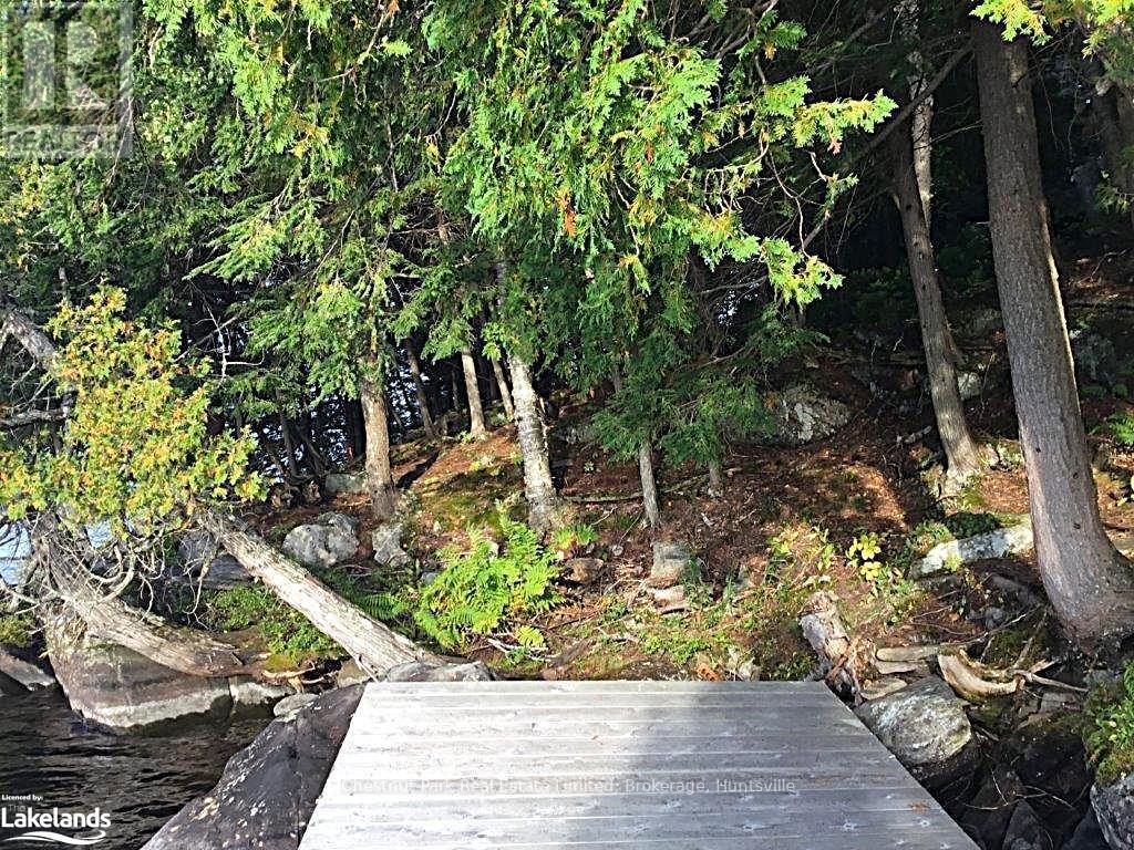 920 Big Island, Huntsville, Ontario  P1H 2J2 - Photo 22 - X11823164