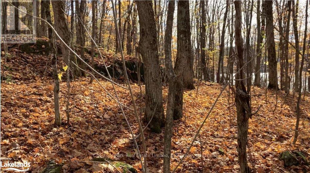 920 Big Island, Huntsville, Ontario  P1H 2J2 - Photo 24 - X11823164