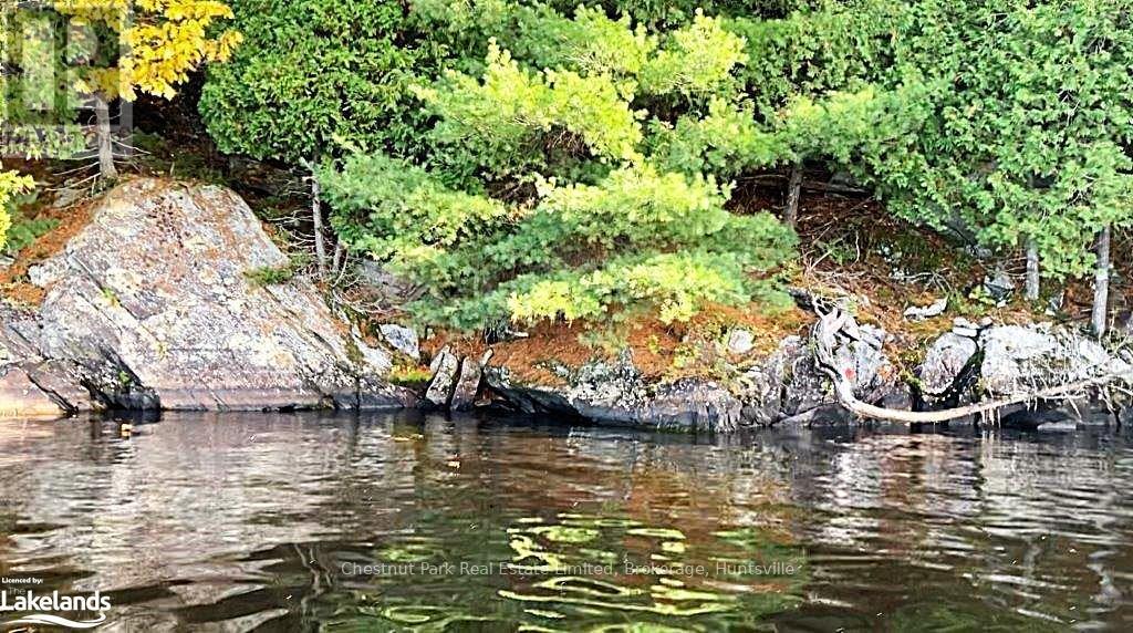 920 Big Island, Huntsville, Ontario  P1H 2J2 - Photo 25 - X11823164