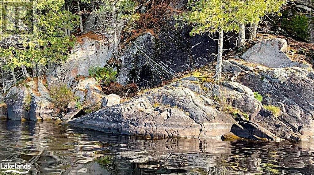 920 Big Island, Huntsville, Ontario  P1H 2J2 - Photo 27 - X11823164