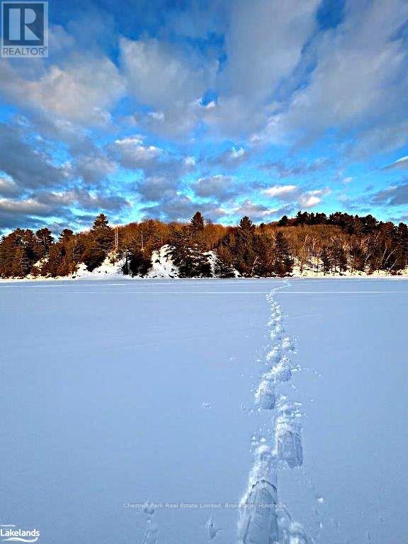 920 Big Island, Huntsville, Ontario  P1H 2J2 - Photo 30 - X11823164