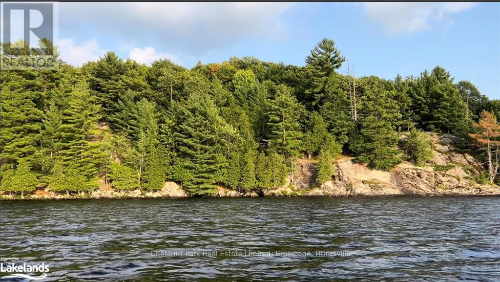 920 Big Island, Huntsville, Ontario  P1H 2J2 - Photo 31 - X11823164