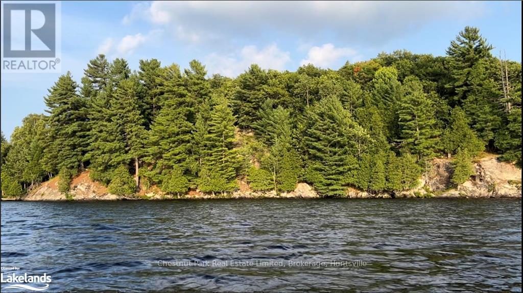 920 Big Island, Huntsville, Ontario  P1H 2J2 - Photo 32 - X11823164