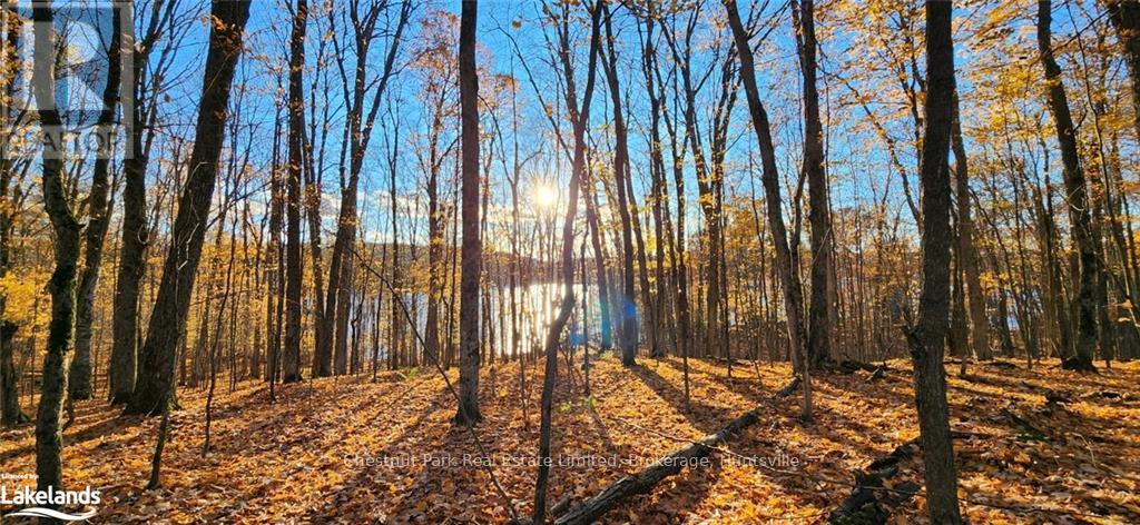 920 Big Island, Huntsville, Ontario  P1H 2J2 - Photo 5 - X11823164