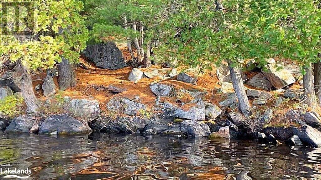 920 Big Island, Huntsville, Ontario  P1H 2J2 - Photo 7 - X11823164