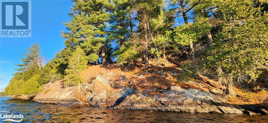 920 Big Island, Huntsville, Ontario  P1H 2J2 - Photo 9 - X11823164