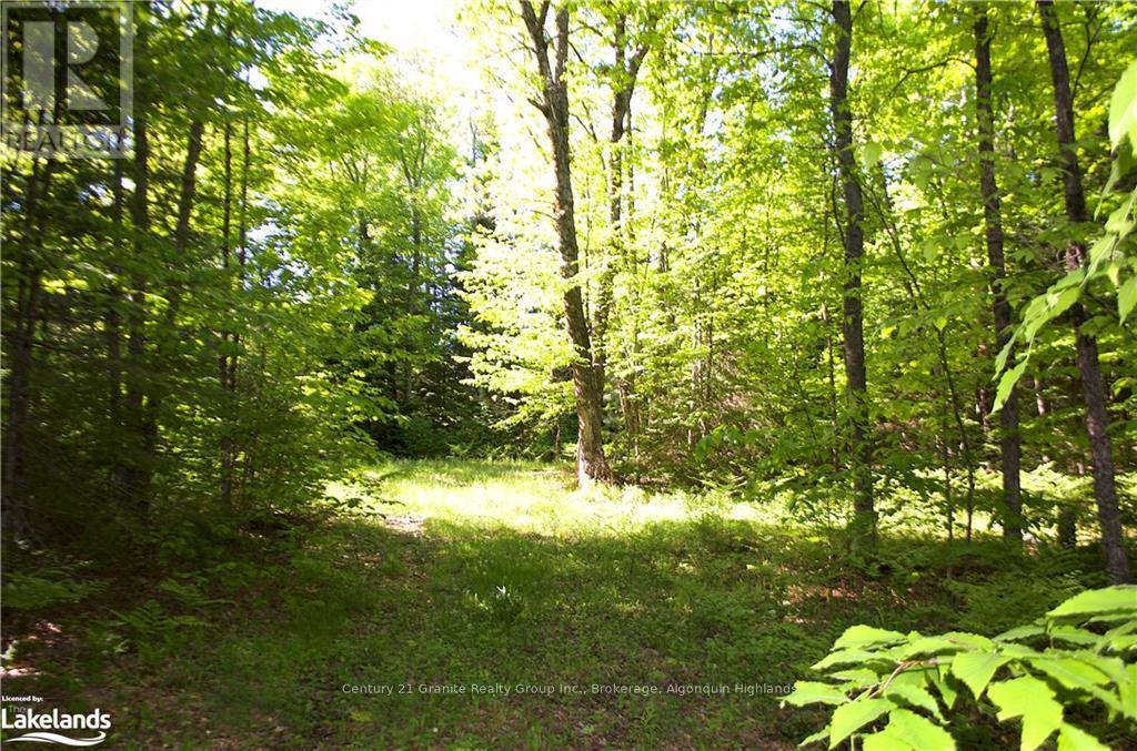 2823 Harburn Road, Dysart Et Al, Ontario  K0M 1S0 - Photo 2 - X11823177