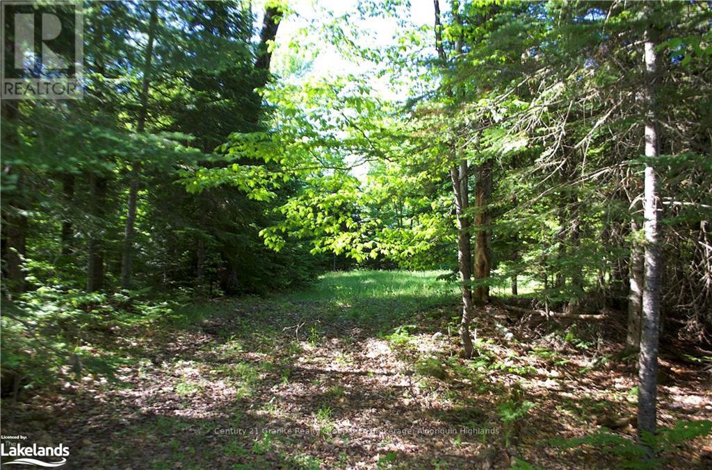 2823 Harburn Road, Dysart Et Al, Ontario  K0M 1S0 - Photo 3 - X11823177