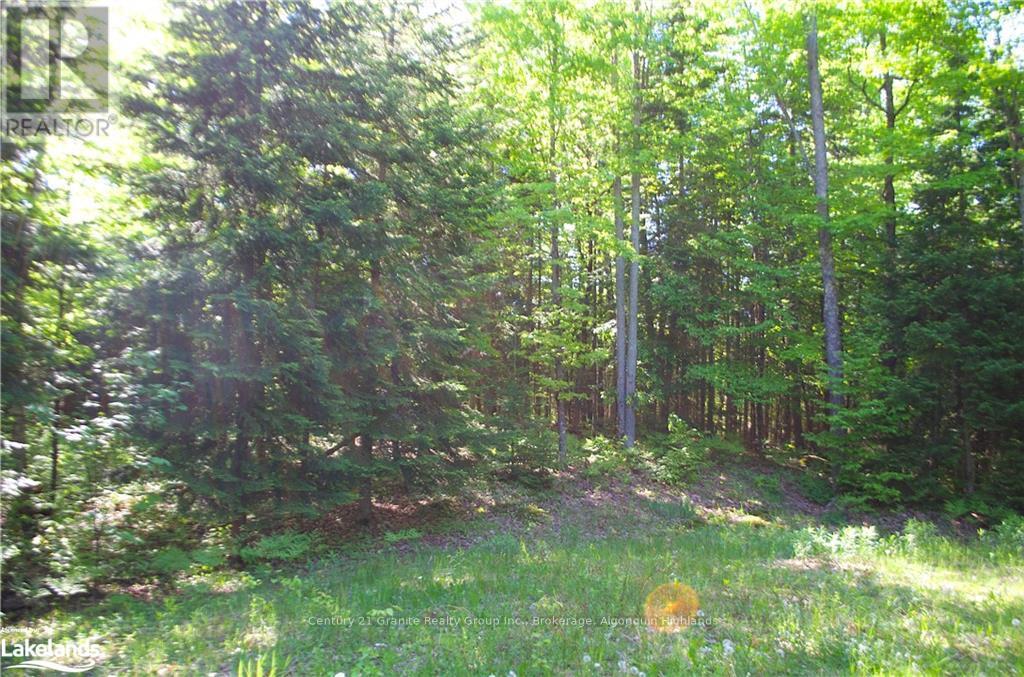 2823 Harburn Road, Dysart Et Al, Ontario  K0M 1S0 - Photo 9 - X11823177