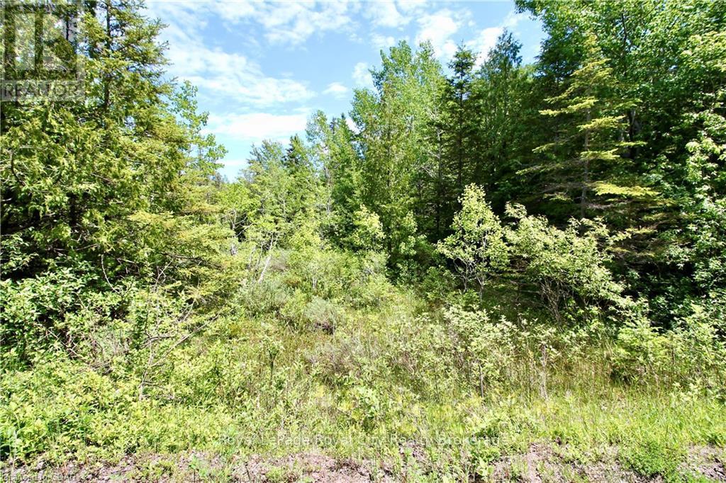 50 Harpur Drive, Northern Bruce Peninsula, Ontario  N0H 2R0 - Photo 6 - X10878235