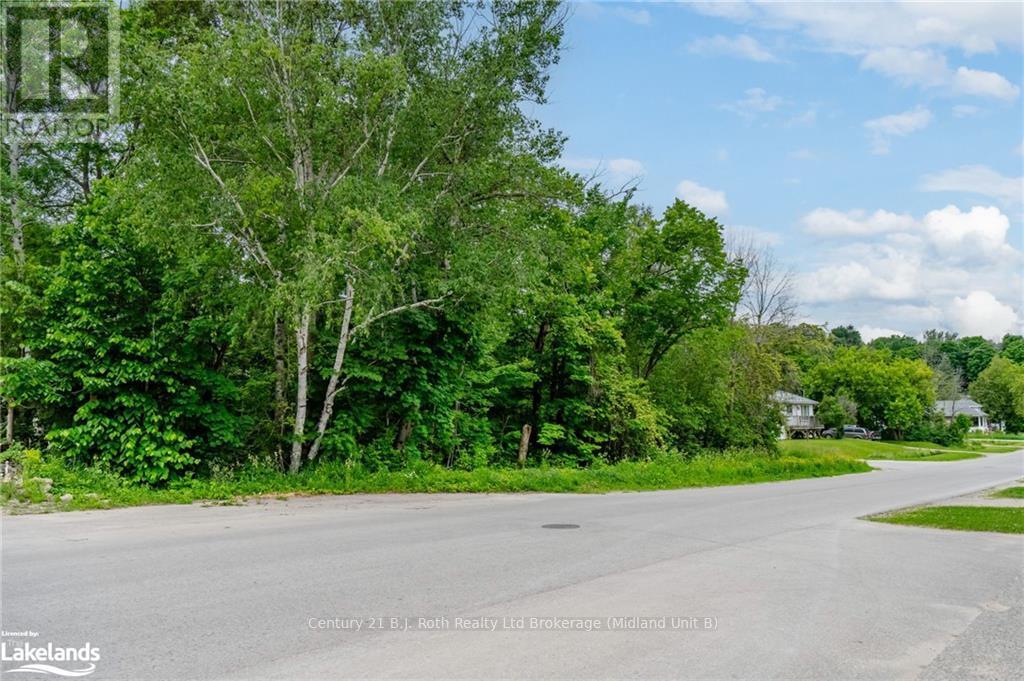 Property at 401 MCNICOLL STREET image 2