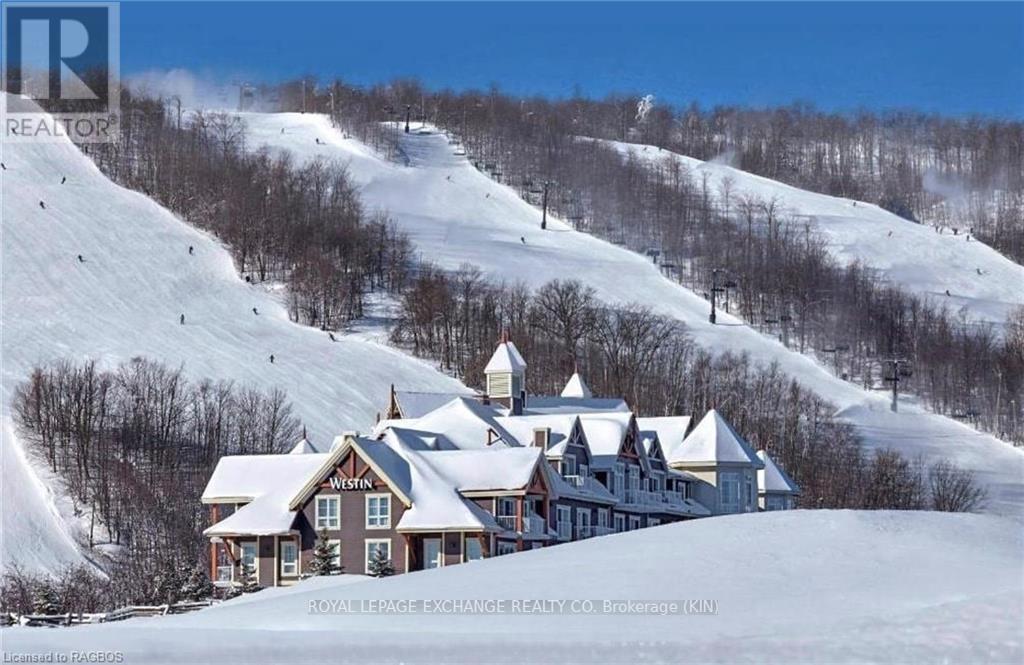 314 - 220 Gord Canning Drive, Blue Mountains, Ontario  L9Y 0V2 - Photo 25 - X10845927