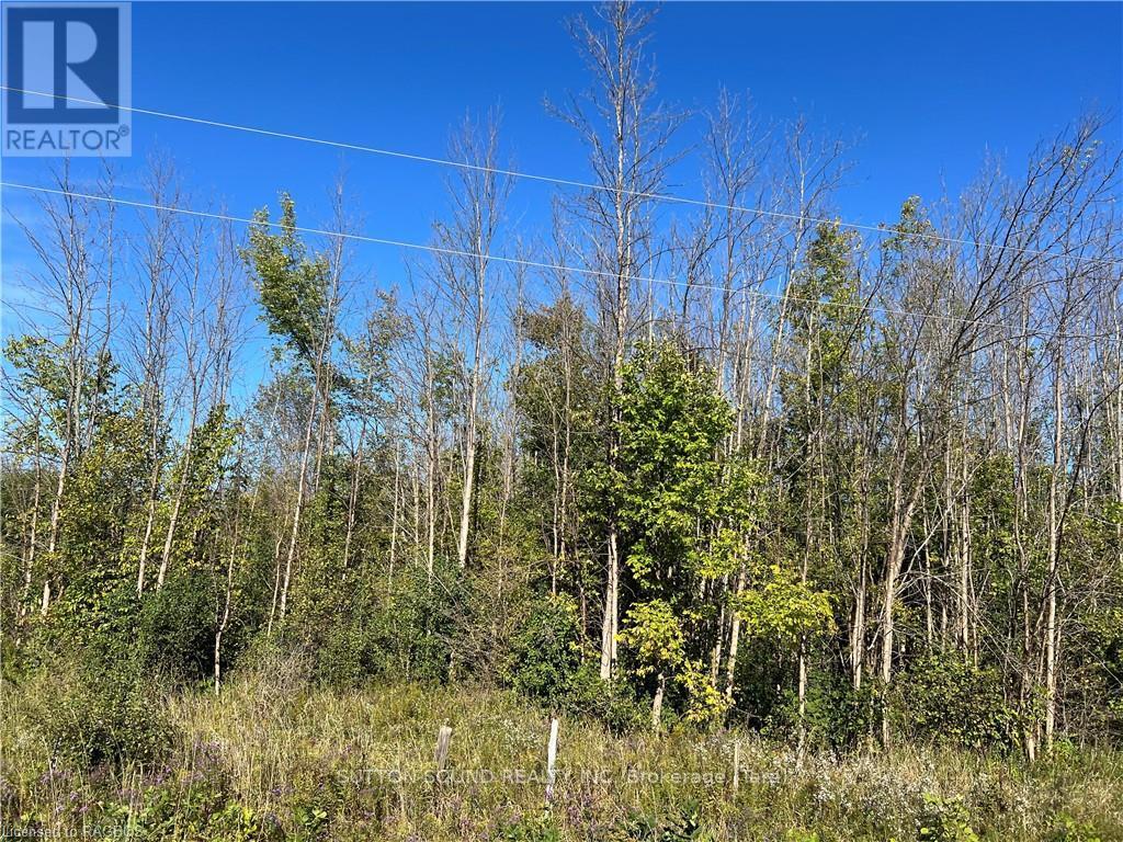 N1/2 Lt E Concession 10 Bruce, Kincardine, Ontario  N0H 2C5 - Photo 3 - X10846031