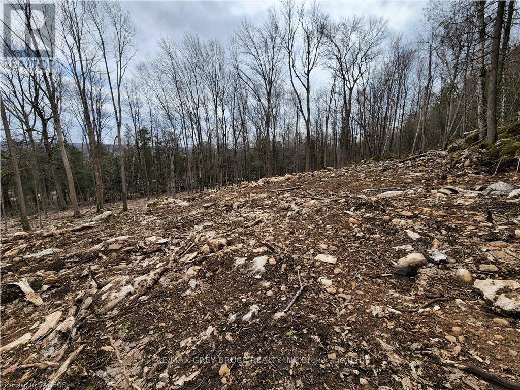 132b Georgian Drive, Northern Bruce Peninsula, Ontario  N0H 1W0 - Photo 1 - X10845926