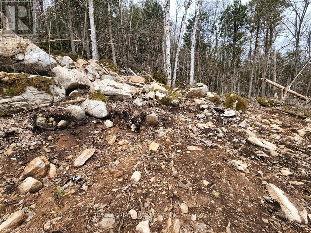 132b Georgian Drive, Northern Bruce Peninsula, Ontario  N0H 1W0 - Photo 2 - X10845926