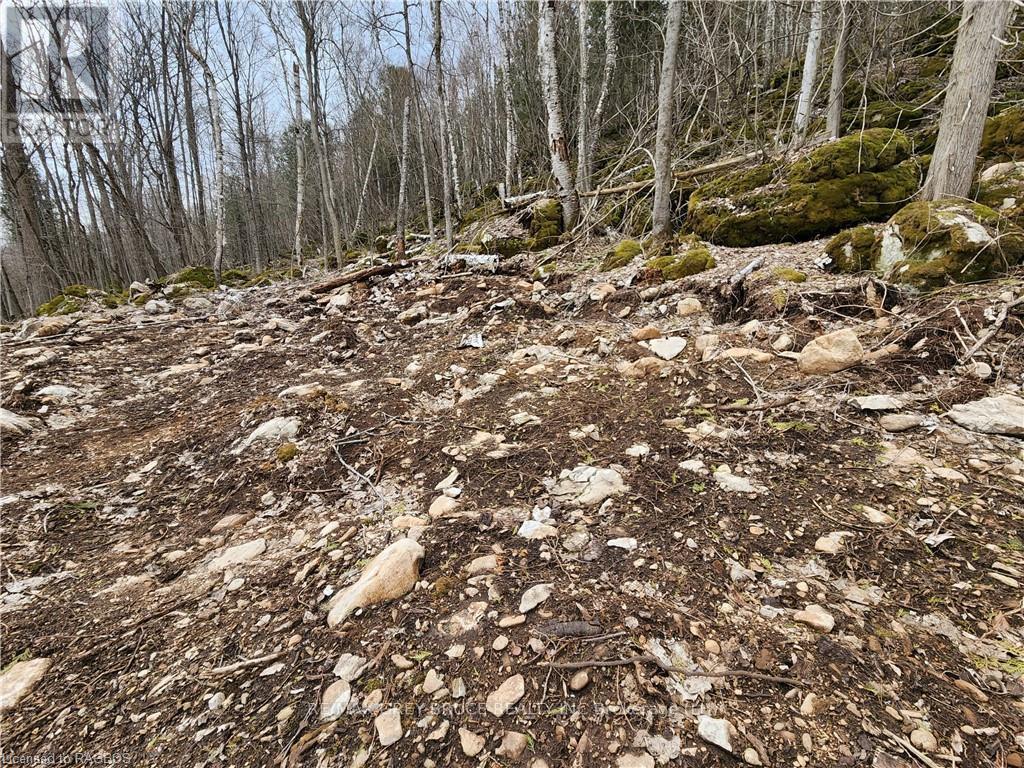 132b Georgian Drive, Northern Bruce Peninsula, Ontario  N0H 1W0 - Photo 3 - X10845926