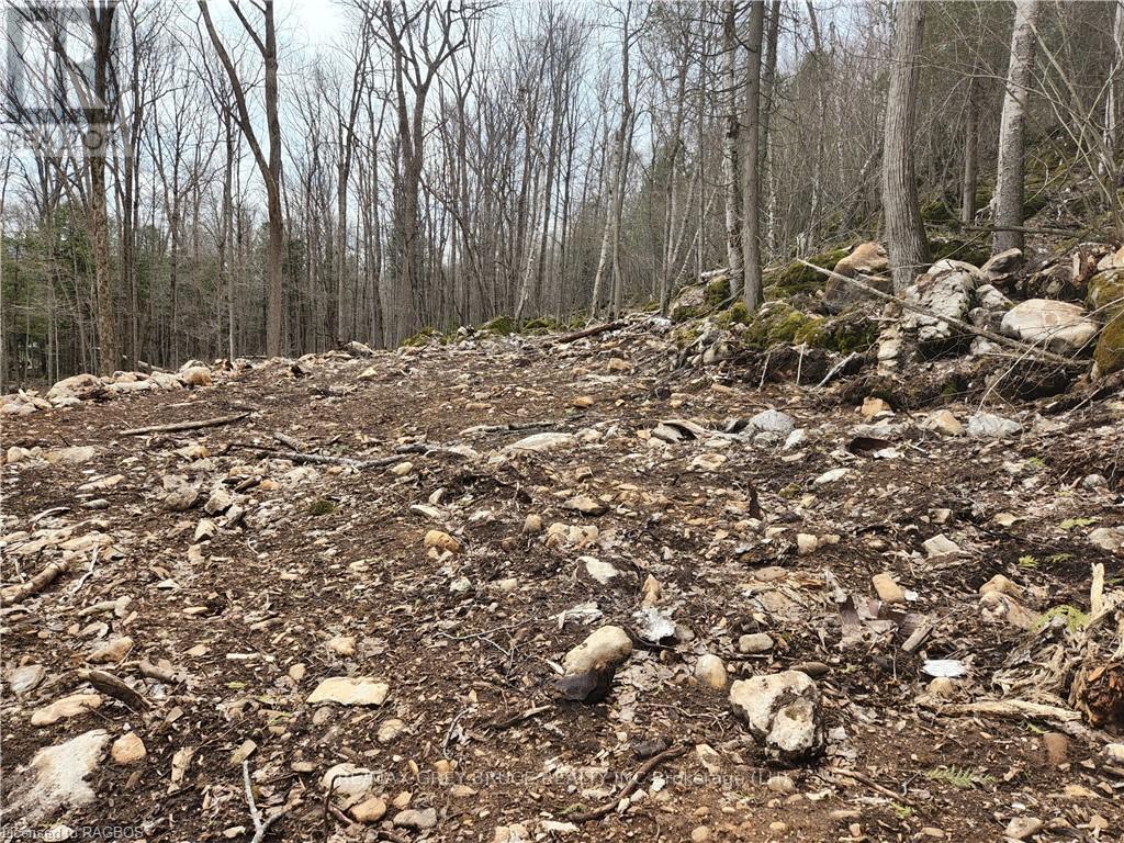 132b Georgian Drive, Northern Bruce Peninsula, Ontario  N0H 1W0 - Photo 4 - X10845926