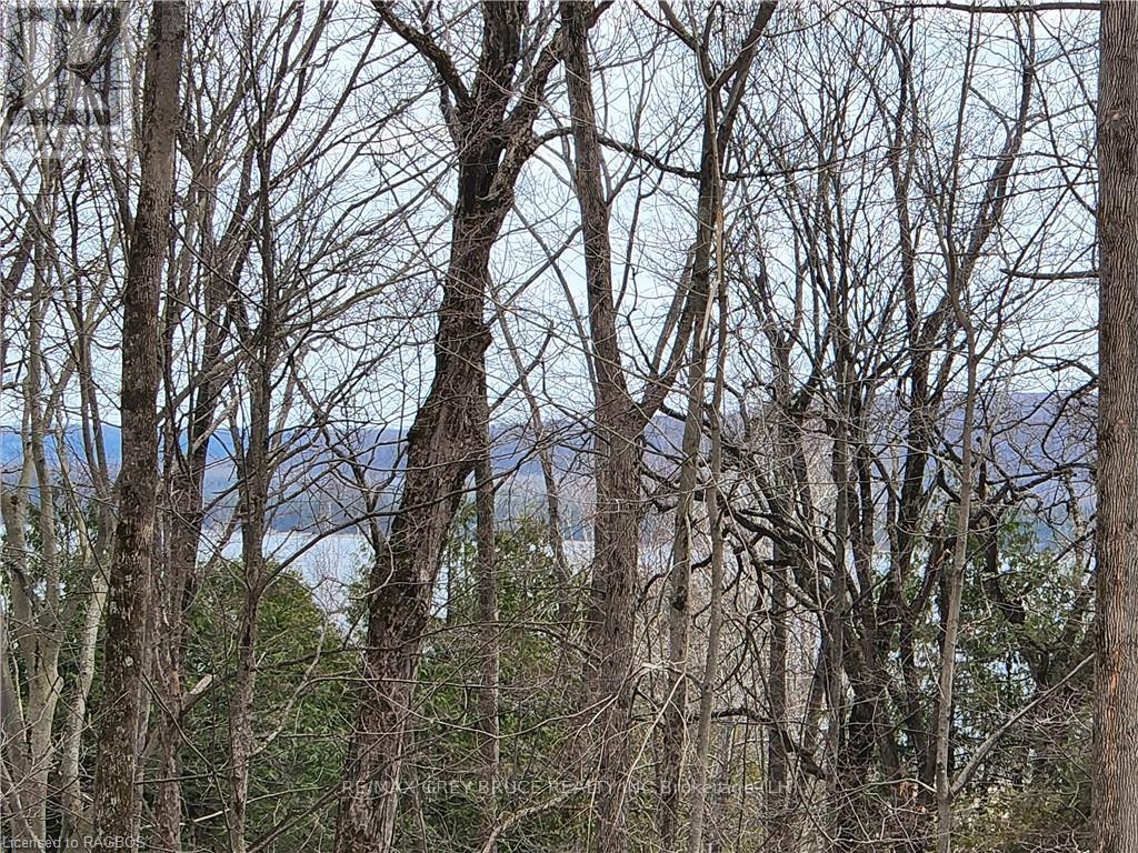 132b Georgian Drive, Northern Bruce Peninsula, Ontario  N0H 1W0 - Photo 5 - X10845926